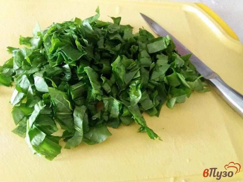 Зеленый борщ с щавелем и яйцом — 9 классических рецептов приготовления
