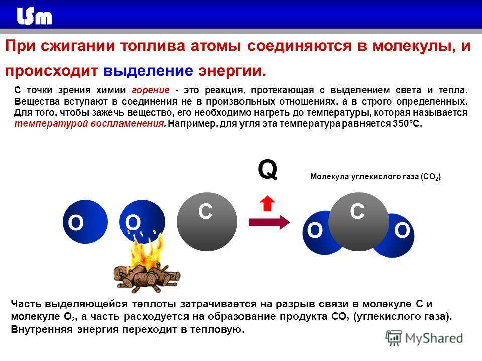 Воздействие углекислого газа на организм человека, участие в процессах жизнедеятельности