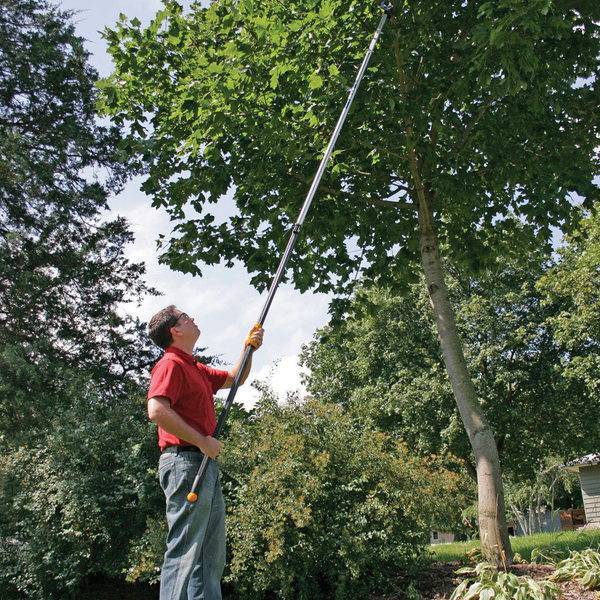 Сучкорезы для обрезки деревьев: разновидности устройств и рейтинг лучших моделей, их достоинства и недостатки