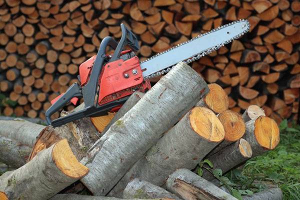 Как пользоваться бензопилой: валка деревьев, распиливание бревен, запуск и обслуживание инструмента