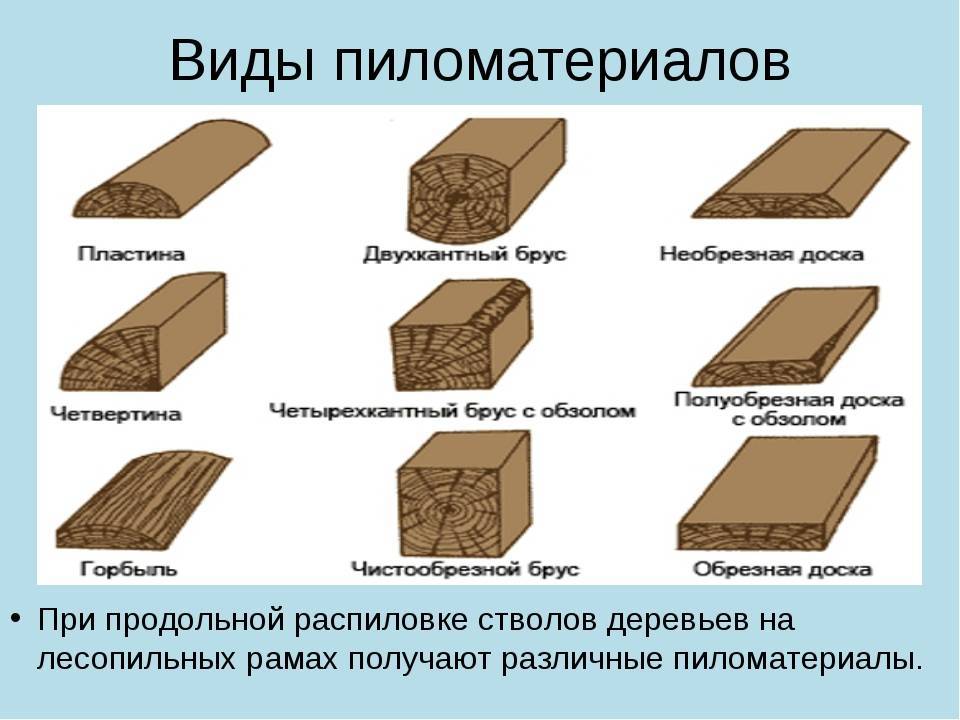 Виды древесины и характеристика пиломатериалов - блог о строительстве